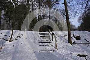 Staircase in winterly forest