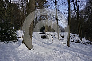 Staircase in winterly forest