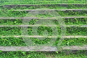 Staircase Wood With Green Gass