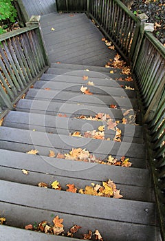 Staircase with wood handrails,covered with leaves