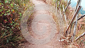 staircase wood or path walk way in the park, entrance in the garden, no people.