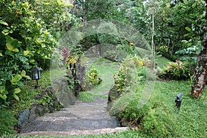 Staircased Green Garden
