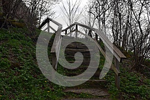 Stairs Along a Hiking Trail in the Blue Ridge Mountains