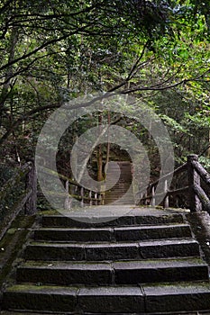 Stairs around the Wulingyuan Scenic Area. A typical hiking trail