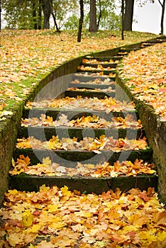 Stairs with autumn leaves