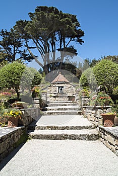 Stairs in beautiful garden