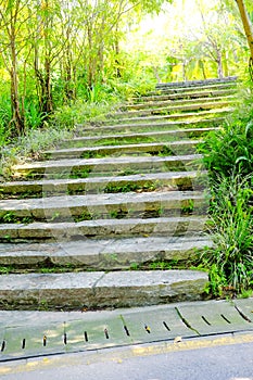 Stairs on the road photo