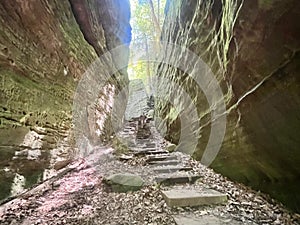 Stairs in Cantwell Cliffs