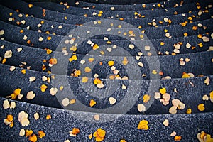 Stairs covered with yellow/orange leaves in autumn.