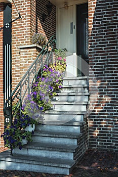 Stairs decorated with petunias to the front door of a house in t