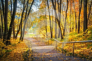 Stairs down in the autumn park Tsaritsyno in Moscow