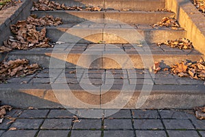 Stairs with dry autumn leaves on sunny day