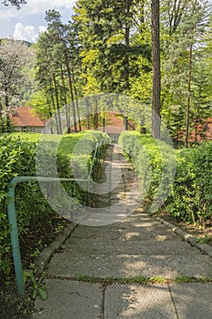 Stairs through forest