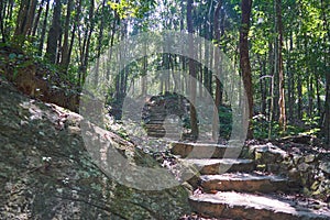 Stairs in forest