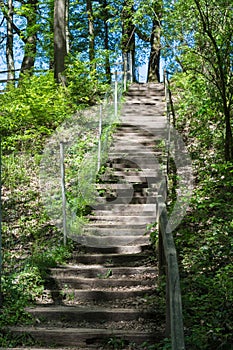 Stairs in the forest photo