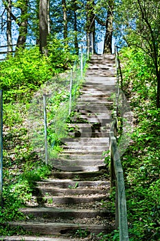 Stairs in the forest photo