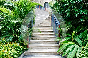 Stairs in garden