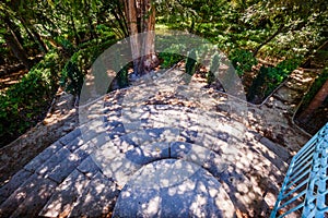 Stairs in the garden of Santos in Penaguila photo