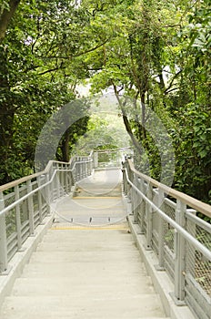 Stairs going down to the park