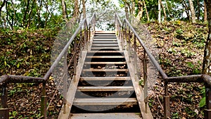 Stairs grass park forest at vietnam