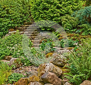 Stairs in the green overgrown garden