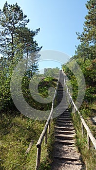 Stairs on the highest Dune of the Schoorlse Duinen Dunes in North Holland, the Netherlands