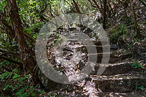 The stairs on hiking path photo