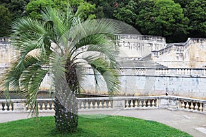 Stairs in Jardins de la Fontaine, NÃÂ®mes, France photo