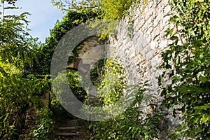 Stairs leading to a archway in a old ancient ruin with a wall on the right covered with plants