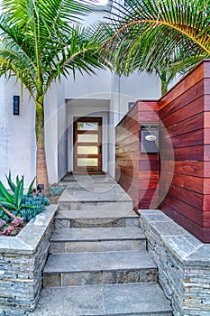 Stairs leading to front door with frosted glass insets at the entrance of a home
