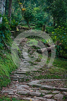 Stairs leading to a terrace in Ciudad Perdidad indigenous name Teyuna photo