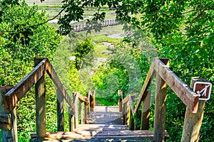 Stairs leading to the wetlands in Don Edwards San Francisco Bay National Wildlife Refuge, Fremont, California photo