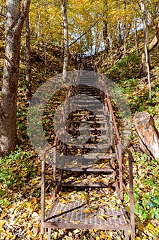 stairs leading up in the autumn in the forest