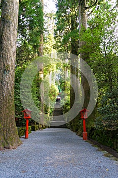 Stairs leading up to the Hakone Shinto Shrine