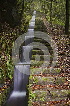 Stairs with levada water canal stream, Ribeiro Frio, Madeira island. photo