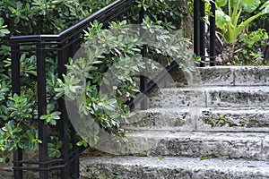 Stairs made of coral