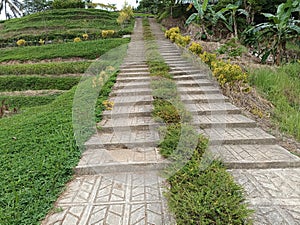 stairs made of mortar in a very beautiful flower garden