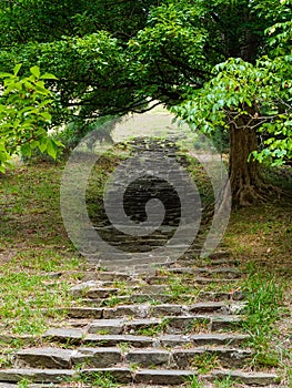 Stairs made of natural stone in the Arboretum