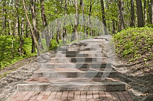 Stairs in the park