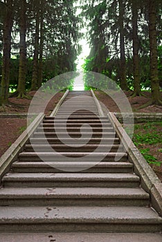 Stairs in the park