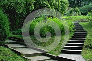Stairs in the park