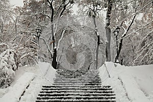 Stairs on a park alley. Winter park covered with snow