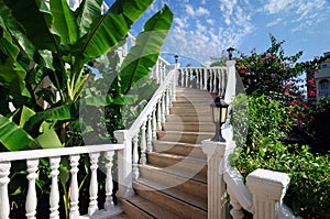 Stairs in the park in a classic style