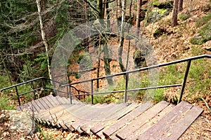 Stairs with railing in the forest