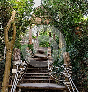 Stairs in the rainforest