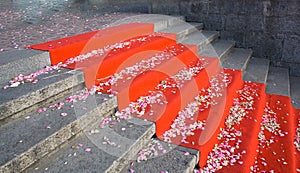 Stairs with red carpet