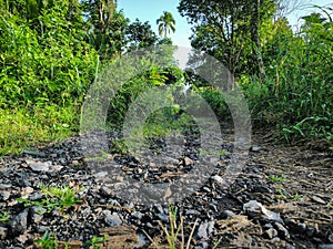 Stairs Road in Tinoor village