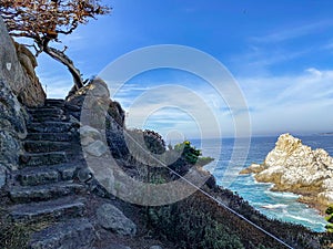 Stairs/Steps at Cypress Grove Trail, Point Lobos State Natural Reserve, Carmel, California