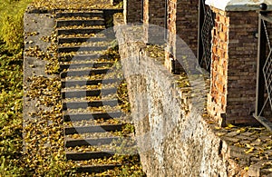 Stairs with stone steps with leaves in autumn