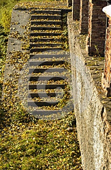 Stairs with stone steps with leaves in autumn